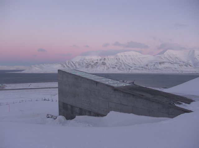 World Arctic Archive | fot. Mari Tefre/Svalbard Globale frøhvelv