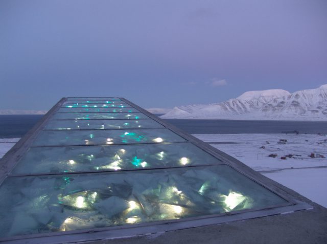 World Arctic Archive | fot. Mari Tefre/Svalbard Globale frøhvelv